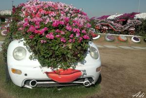 The Flowery Cars