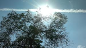 The Sun and Cloud Watch