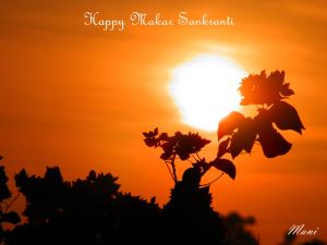 Happy Makar Sankranti - Copy