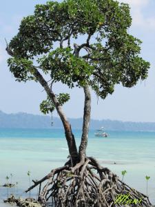 Beautiful Andaman 3