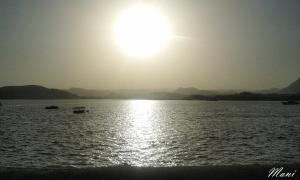 Save Environment and Stay Blessed