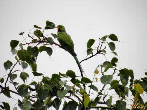 Braving the rainstorm