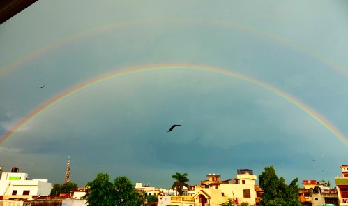 IMG_20190724_074304_416